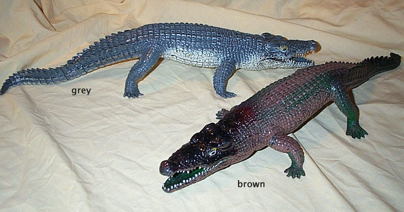 Crocodiles - Male