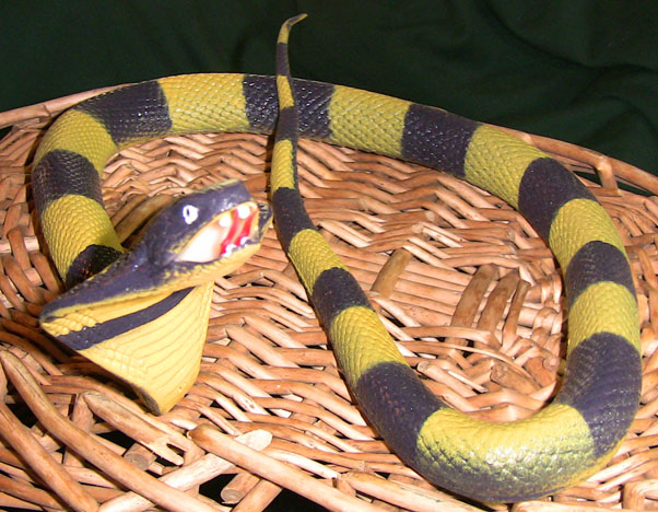 purple and yellow snake