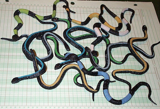 Stretch Rubber Painted Snakes